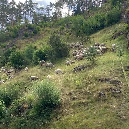 Forsterhof * بوتينشتاين